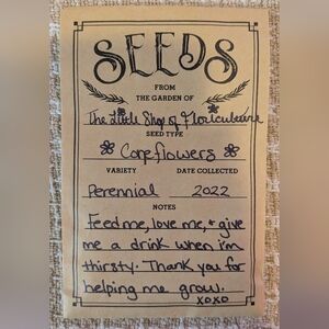 Coneflower Seed Packet